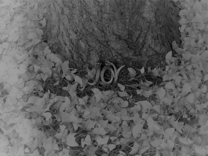 tree-joy